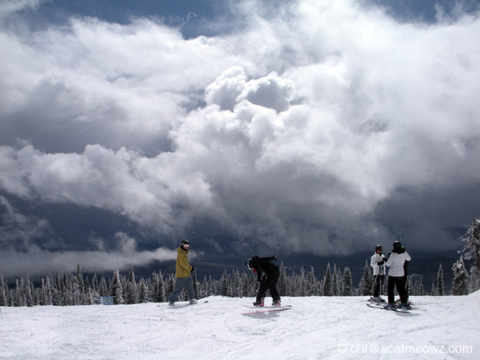 2010.04.06 1244p BigWhite